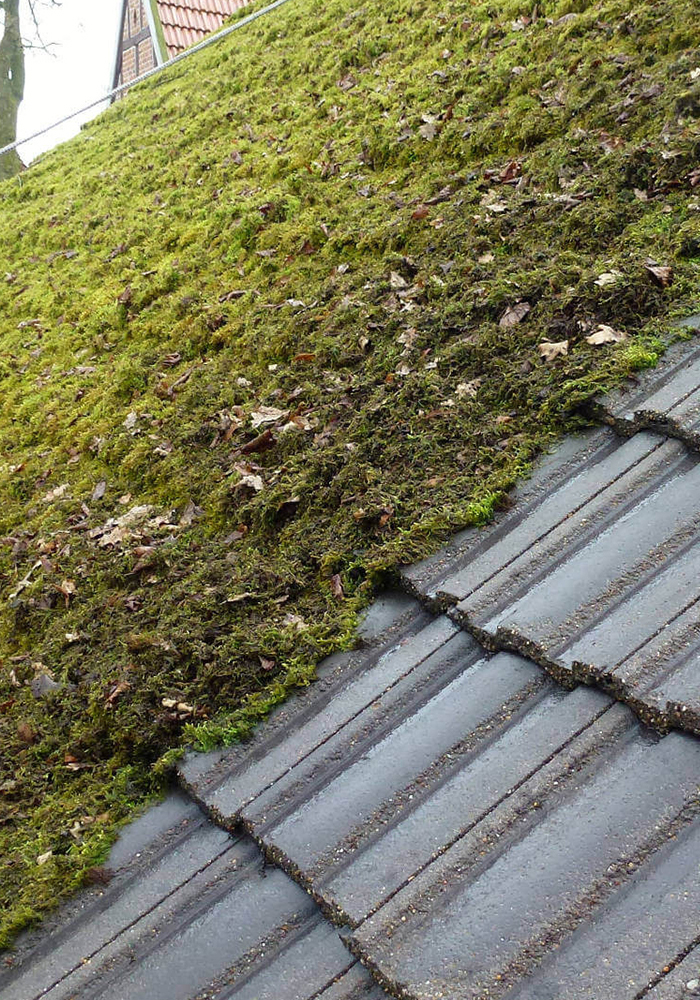 Demoussage et nettoyage de toiture à Le Vesinet (78110) dans les Yvelines (78).